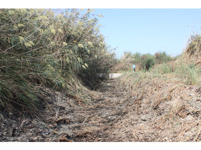 Καθάρισμα υφιστάμενων καναλιών και αποκάλυψη δομών υδρολογικής διαχείρισης - Οκτώβριος 2015